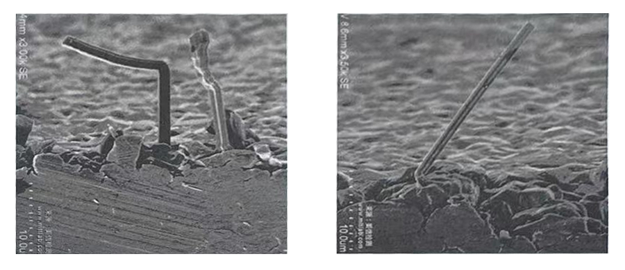 Characteristics of tin whisker growth and prevention and control strategies in room temperature environment