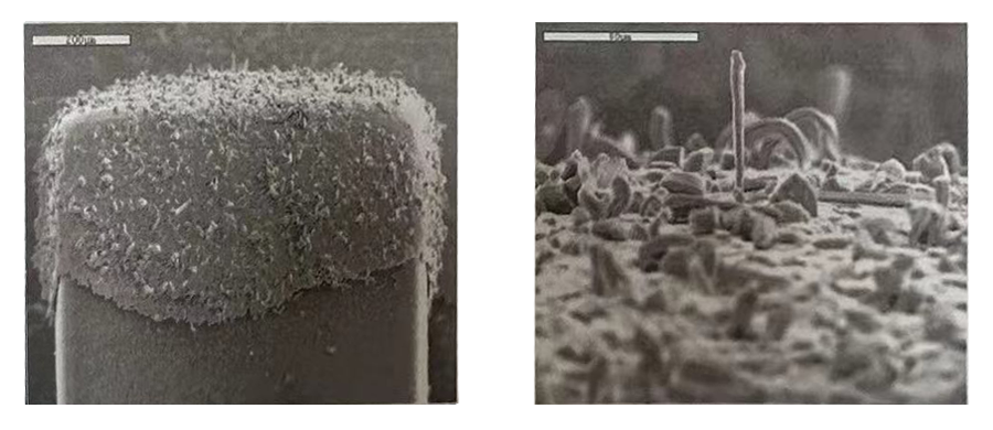 Characteristics of tin whisker growth and prevention and control strategies in room temperature environment