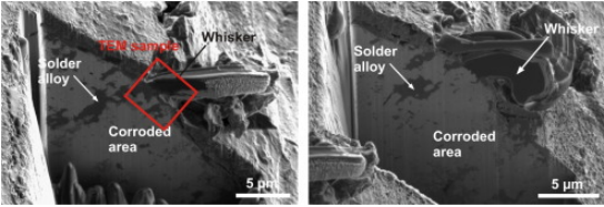 Tin Whisker Growth of SAC305 Solder Paste in Corrosive Environment