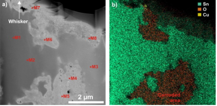 Tin Whisker Growth of SAC305 Solder Paste in Corrosive Environment