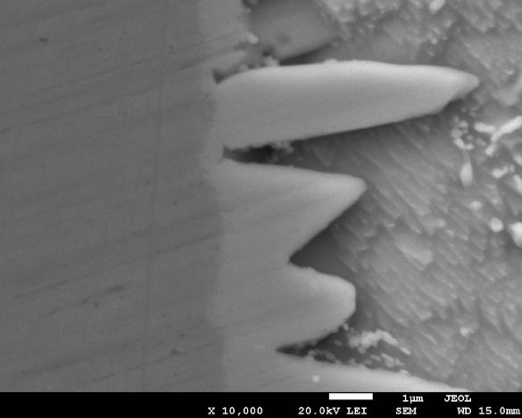 Addition of Silver Nanoparticles Improves Wettability of SnAgCu Solder Pastes