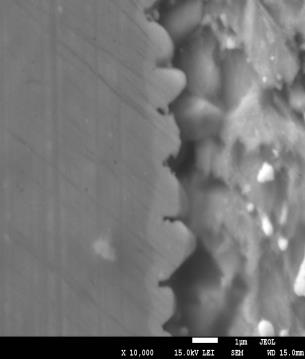 Addition of Silver Nanoparticles Improves Wettability of SnAgCu Solder Pastes